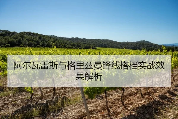 阿尔瓦雷斯与格里兹曼锋线搭档实战效果解析