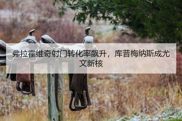 弗拉霍维奇射门转化率飙升，库普梅纳斯成尤文新核